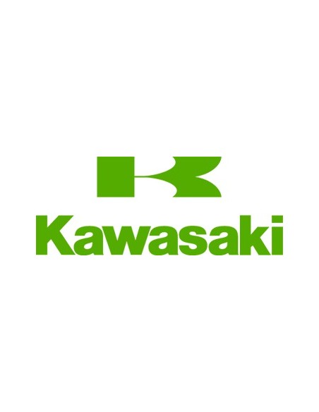 Bearings & Oil Seals Kawasaki