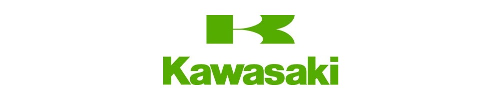 Pistones Kawasaki